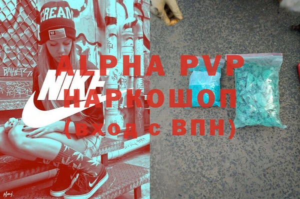 спиды Новозыбков