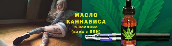 дмт Каменка