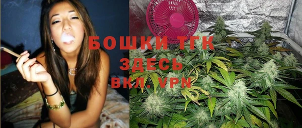 спиды Новозыбков