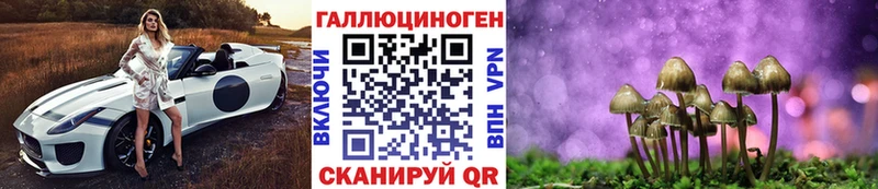 Галлюциногенные грибы MAGIC MUSHROOMS  купить закладку  Котельнич 